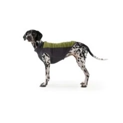 Ruffwear Climate Changer™ Fleece-Pullover Für Hunde Rot S 10 Ruffwear Climate Changer™ Fleece-Pullover Für Hunde Rot S -Hundebedarf Rabatte b28669818d8fcb81e0661ed639732808849f280a 1369661 de DE 64aaf340211e6364e47cd57e7a205b9b6074a78fHTZZhE