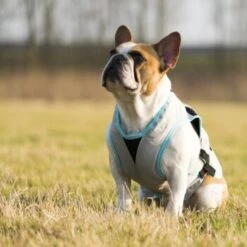 Trovet Suitical Kühlweste Dry Cool M -Hundebedarf Rabatte b32e0654ab987d26790de796cf13d2e54cbed73f 1321386 de DE Trovet suitical 6 Kopie