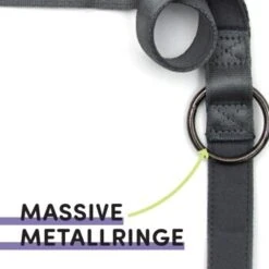 STUCH Hundeleine - Führleine - Large Grau -Hundebedarf Rabatte b8aa24e27cbc4a178974cb09d87bbaf3f970df7e 1399116 de DE db6ead7203d242448ab935c04f029f56fb115743qrNPpj