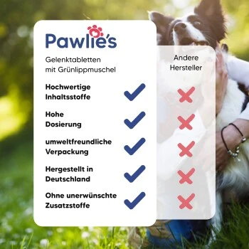 Pawlie's Gelenk Fit Tabletten Hund (100 Stück) 4 Pawlie's Gelenk Fit Tabletten Hund (100 Stück) – Bild 4