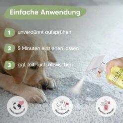 Pawlie's Tier-Geruchsentferner -Hundebedarf Rabatte ba4e72bd0856659ee703976c3992ad377159a32b 1626202 de DE 09ba7a0a0323d0ef51bb3689b7ee854b0f5c28feEmQBAQ