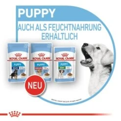 ROYAL CANIN Medium Puppy 10x140g -Hundebedarf Rabatte bc3f92646659ab6935de7e665d9d8b81c0b7c9cf 3a53132540880784da6eadc00c0e47ffd800aa3d