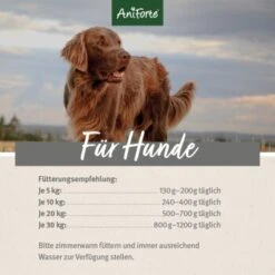 Aniforte RanchHorse Pferd Mit Süßkartoffeln 6 X 800 G 11 Aniforte RanchHorse Pferd Mit Süßkartoffeln 6 X 800 G -Hundebedarf Rabatte bc4e338fbf56fd793daa37ff086c92aebd8aeab4 1422201 de DE ecf8c646fa9f7a73ce2de360e52f7434941d6424RtLo5O