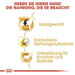 ROYAL CANIN Beagle Adult 3 Kg 9 ROYAL CANIN Beagle Adult 3 Kg -Hundebedarf Rabatte bd1d862302227d3355d22f5dd63b0fb6e01c0979 a169571c5cbde6082adf0be87e23db9042e69066