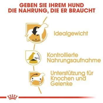 ROYAL CANIN Beagle Adult 3 Kg 4 ROYAL CANIN Beagle Adult 3 Kg – Bild 4