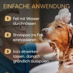 Neu eingetroffen -Hundebedarf Rabatte be59e8c873c9c55a34a4af87672e3f41c7ec8553 1626204 de DE 0e93cfef805ae9948cc20f31411a0ad2b476eab7e9RNIg