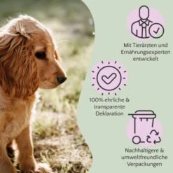 FAVLY Petfood PURE Bites Veggie 360 G -Hundebedarf Rabatte bec0cf8f032cb202461664cbfe5564f4eeab2e9b 1474000 de DE 9c441cea117e17df2d31039760b88fa0cc1eb6acALFkfB