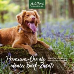 Aniforte Futteröl Premium BARF-Line 1 Liter 7 Aniforte Futteröl Premium BARF-Line 1 Liter -Hundebedarf Rabatte c11fa3ad0ee5c6826c484345380568a056b17d4e 1422212 de DE 471b9cb1eddf1a4e11196a5eee91fabdcb31b23fFEv6G3