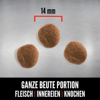 Orijen Six Fish 2 Kg 2 Orijen Six Fish 2 Kg – Bild 2