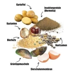 Eat Small EatSmall 10x Snacks Mobility 11 Eat Small EatSmall 10x Snacks Mobility -Hundebedarf Rabatte cd559bb22e5cb843e5d55f48a0000050c69ee1fd 1480043 de DE c061c493f5d6cca99df67cb07fe61953e4b50fff4ALAmy