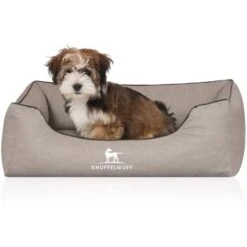 Knuffelwuff Orthopädisches Hundebett Rockland Aus Kunstleder Hellgrau M-L -Hundebedarf Rabatte cddbe657f65275c958b8c0c7cf556c70e548410b 1411979 de DE 2db7865b3b4dcec9e1306995fbe3319c3155ec59hlJfQB
