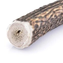 Larsson Geweih XL Ca. 160-250g -Hundebedarf Rabatte d0ea2d0dd81916c0771ab948a0ba526456c57531 1057934 de DE 33de9f3780cd9591638692dec708fc97aaea117cMdAURQ