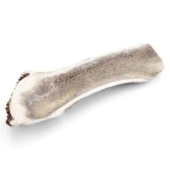 Larsson Halbiertes Geweih M Ca. 80-120g 7 Larsson Halbiertes Geweih M Ca. 80-120g -Hundebedarf Rabatte d681c467faf90aaafb4106ac6ff11dfde40fa0b4 1057939 de DE 07a5583c6c0a2422d7e96e9d106fdd121d9d8ba6Brcgig