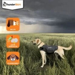 Thundershirt Beruhigungsweste Grau XS -Hundebedarf Rabatte dba829e1909f5c4f6710e4085b27664b9bf6ac3e 1102942 2