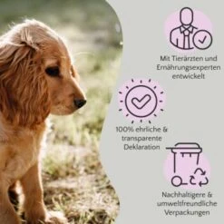 FAVLY Petfood FAVLY Probierpaket "Starter" -Hundebedarf Rabatte dbf0342643afa9a24ad89aa12b091729873bd5f5 1475313 de DE 908544d2c24927cde4ce8f1acefe41ebea7bec298Nltw8