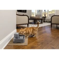 PetSafe Trinkbrunnen 1,8 L -Hundebedarf Rabatte df488cf045110a6e0d24fcded3d81de07583d88a 1323706 7