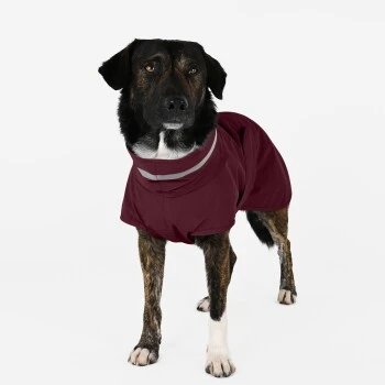 THE DOG IDEA Regenmantel Kayden Bordeaux XXXS 2 THE DOG IDEA Regenmantel Kayden Bordeaux XXXS – Bild 2