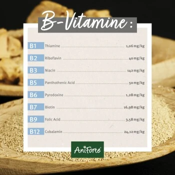 Aniforte Bierhefe Pulver 250 G 5 Aniforte Bierhefe Pulver 250 G – Bild 5