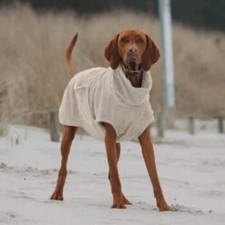 THE DOG IDEA Bademantel Every Beige XXXS 9 THE DOG IDEA Bademantel Every Beige XXXS -Hundebedarf Rabatte e3729773c9f5b61c18a464eeb5076e81a866013e 1472946 de DE ac504db57b88122680c4cb56470ea23721b69c99VnzO7V