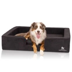 Knuffelwuff Orthopädisches Hundebett Mit Wendekissen Aus Velours Bellamy Schwarz M-L -Hundebedarf Rabatte e3b7bc46ae320ad688559fbe65b93d653050af29 1412229 de DE a8fed7047a4b2b7c518b9afe1b1b115d3d9d2c8emVyF8X