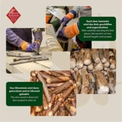 ChronoBalance Olivenholz Für Hunde 210 G 8 ChronoBalance Olivenholz Für Hunde 210 G -Hundebedarf Rabatte e519ed72c86ef4bfad0cd59df36f2115160dc9de 1409565 de DE 56e0416ab19bf28f725b77e7e04a830d2da63909Gzfaju