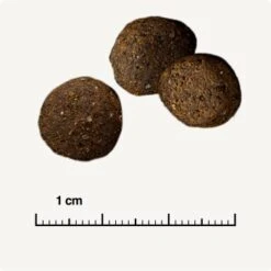 REAL NATURE WILDERNESS Desert Sands Kamel & Pferd 12 Kg -Hundebedarf Rabatte e593299b652dffebc36cd625a372440b9780dd80 1297079 de DE 6