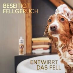 Pawlie's Hundeshampoo Für Langhaar -Hundebedarf Rabatte e65234d72e0adb949f3fa491484e6ad7c7481584 1626203 de DE ce4f7e431ef810d9abd2a895abbb82da132a6dd7K3n77W