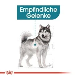 ROYAL CANIN Maxi Joint Care 10 Kg -Hundebedarf Rabatte e748880de14991fb632a51a495c563812e60a2a1 f0758faf2eb51624bd07aac359517b476d2f3242