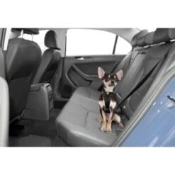 Kurgo Sicherheitsgeschirr XS 8 Kurgo Sicherheitsgeschirr XS -Hundebedarf Rabatte e74c62cf91c66685c2ae44f614f5483319a6b64d 40a5aede9e28b853f6101b01efbceb51af60aae4