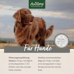Aniforte Futteröl Premium BARF-Line 1 Liter 8 Aniforte Futteröl Premium BARF-Line 1 Liter -Hundebedarf Rabatte e8712ddcace4cc1cd96fd0e31b048d68b8890954 1422212 de DE 16dc7ac85a711c6a2374115b74cd499573ef1a7aleSJNM