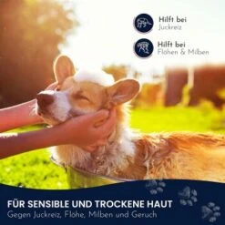 Pawlie's Sensitiv Hundeshampoo Für Hunde 9 Pawlie's Sensitiv Hundeshampoo Für Hunde -Hundebedarf Rabatte e89fe06ff66f08049212bfc10adc10153aeb63cf 1626194 de DE 4976fc58bb1aa66ec74bbce2250fc22a134be1c3oYKgL0
