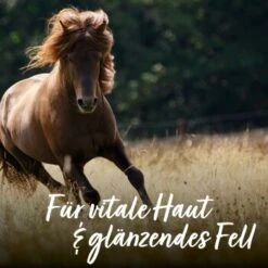 Aniforte Bierhefe Pulver 250 G 13 Aniforte Bierhefe Pulver 250 G -Hundebedarf Rabatte e90f799f42291bc99923416c38244a01fcbd0b4c 1665877 de DE 065f59ee75fc3ae72a0315edf84d964644e562bc3Nrs7r