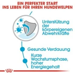 ROYAL CANIN Medium Puppy 10x140g -Hundebedarf Rabatte ea01834e95d5331859ec66f06e01952c0612edab 86009acb36c61560ce965056594dc109940f0dfe