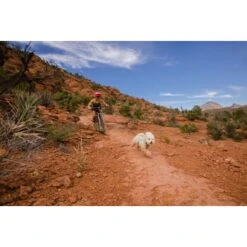 Ruffwear Swamp Cooler Zip™ Kühlweste Für Hunde Pink XL -Hundebedarf Rabatte f39337d577f60e5d30ba5addfb811febecbc66e7 1639652 de DE 1ff9fca93caed68be3a65cc55ad0d154f81bf268suJpN2