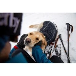 Ruffwear Cloud Chaser™ Hundejacke -Hundebedarf Rabatte f46c67f8b7243d976f998e1877675b56fc87eab2 1369625 de DE 51d1c132eb566a7eb9e278708f64567d4e47a10epBiJRc