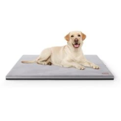 Knuffelwuff Orthopädische Kuschelige Hundematte Berrith Aus Weichem Kaninchen Fellimitat Grau M -Hundebedarf Rabatte f4930452047849f6267a9c96396218be95651c85 1412212 de DE 8d84b27b435efaac5bfc7f91dfb26e8c8b845d29STu8ZY