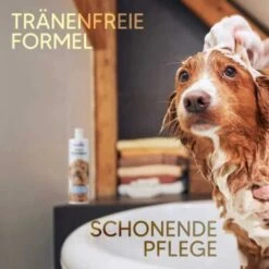 Pawlie's Welpenshampoo -Hundebedarf Rabatte f56801adb1bee6d0b5fdd328d641fa773ce5d4c4 1626204 de DE 7b87b87a2e48e8c0e12b98c918c4d75b538aae40E5TfEc
