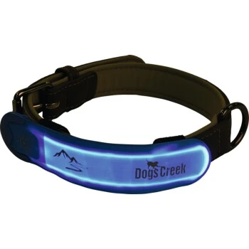 Dogs Creek Leuchtklettsticker Kuma Blau/ Türkis 2 Dogs Creek Leuchtklettsticker Kuma Blau/ Türkis – Bild 2