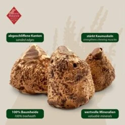 ChronoBalance Kauwurzel Baumheide (M) 2er Paket -Hundebedarf Rabatte f97f60efcfff78cc60f7b0cb9b454de043b3bc44 1418714 de DE 7f5c8529b0ef5815ce0e8f89d9a5ef23e03b1c21rrSfDg