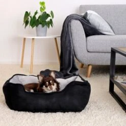 Lionto 2-in-1 Hundebett Hundekissen S -Hundebedarf Rabatte fcdd465e73be4a020b0ad53a9ecdd56aad36d2cc 1657975 de DE b4ecaeba8413443794fe14d42dd396fa4bce09dayhfFPq