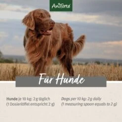 Aniforte MagenSanft 500 G -Hundebedarf Rabatte fe2567e7684b8fd656955ed41deef25f532b0511 1422194 de DE f98ca202b48e5e6e342712478cde9ca416f11037JVxzP1